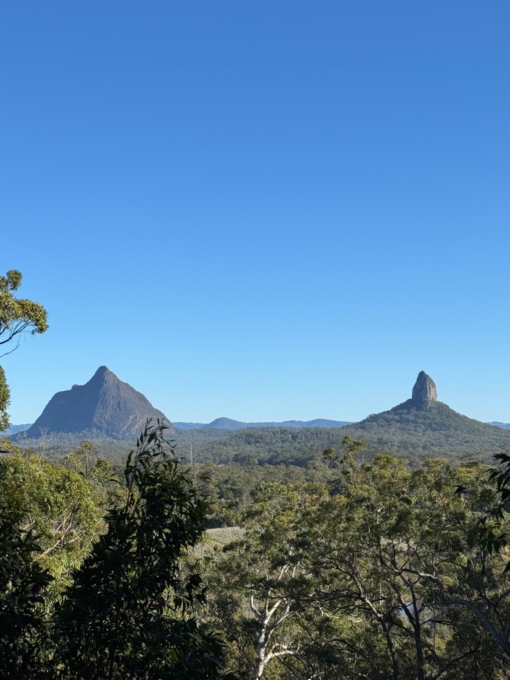 Top 5 Day Hikes in Brisbane